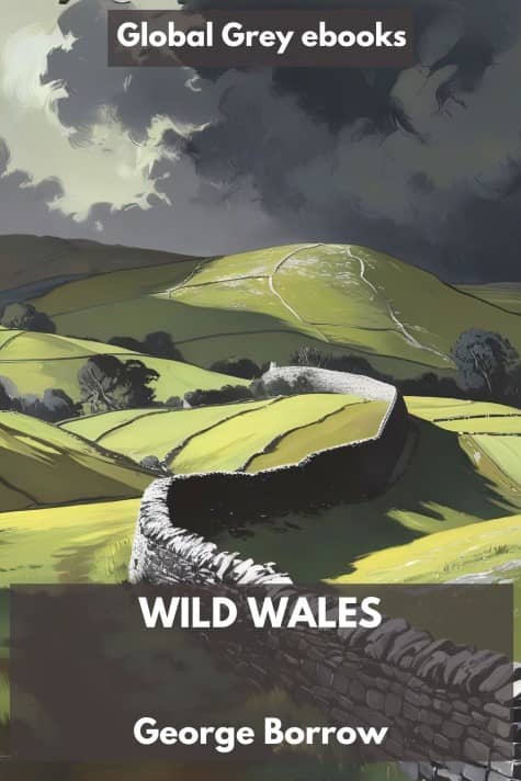 cover page for the Global Grey edition of Wild Wales: Its People, Language and Scenery by George Borrow