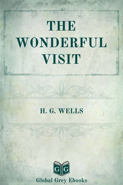 Cover for the Global Grey edition of The Wonderful Visit by H. G. Wells