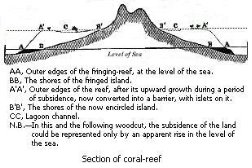 Black and white drawing of Inside an atoll, Keeling Island.