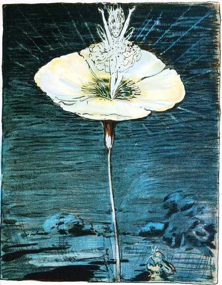 an illustration of a fairy atop a flower